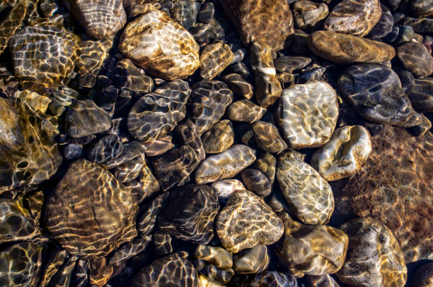 Background from pebble stone in water in sunlight. Wallpaper