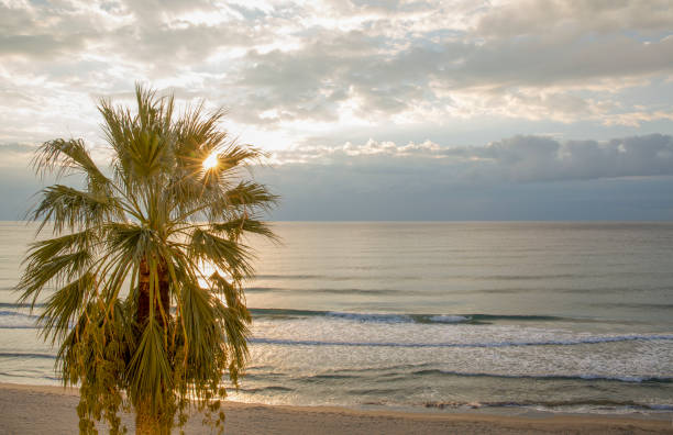 Sunlight illuminates the water and cloudscape above