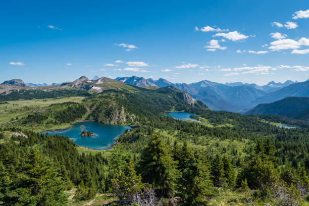 istock Sunshine Meadows in Banff National Park During Summer, Alberta, Canada 1264363087