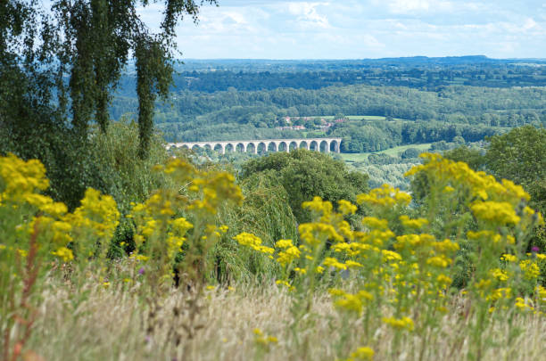 vista del viadotto cefn mawr che trasporta la ferrovia chester e shrewsbury sul fiume dee tra newbridge e cefn-bychan. - dee river river denbighshire wales foto e immagini stock