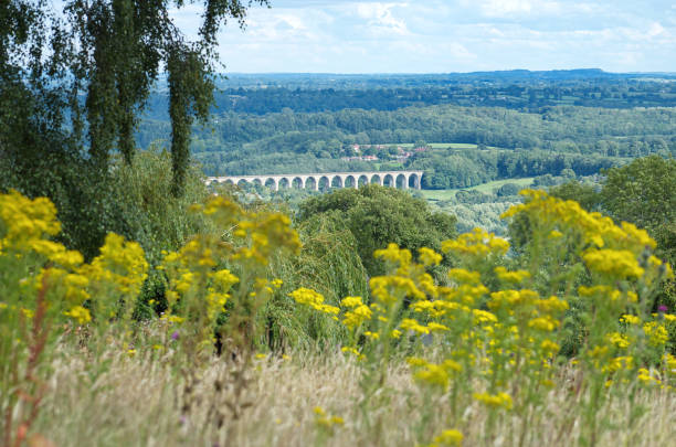 view of cefn mawr viaduct which carries the chester and shrewsbury railway over the river dee between newbridge and cefn-bychan. - dee river river denbighshire wales imagens e fotografias de stock