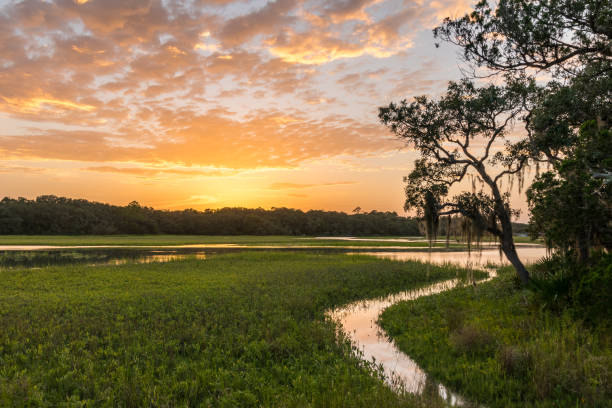 Sunset on Florida's Little Talbot Island