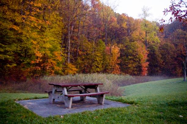 istock Autumn in upstate New York 1264368680