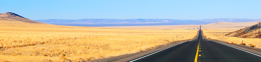 A long straight road on U.S. Route 95 in southeastern Oregon.