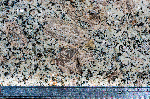 Large orthoclase feldspar phenocryst in granite found along the Sonora Pass road in the Sierra Nevada Mountains of California.