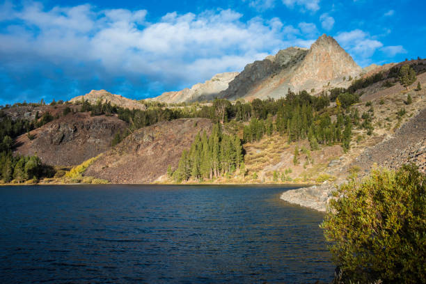 istock Virginia Lake edge with reeds and reflections. 1264371720