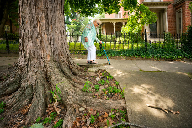 istock Senior walking on uneven sidewalk with cane 1264372742