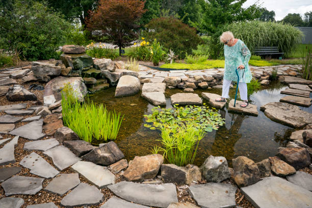 istock Senior woman cautiously walks over stepping stones 1264372762