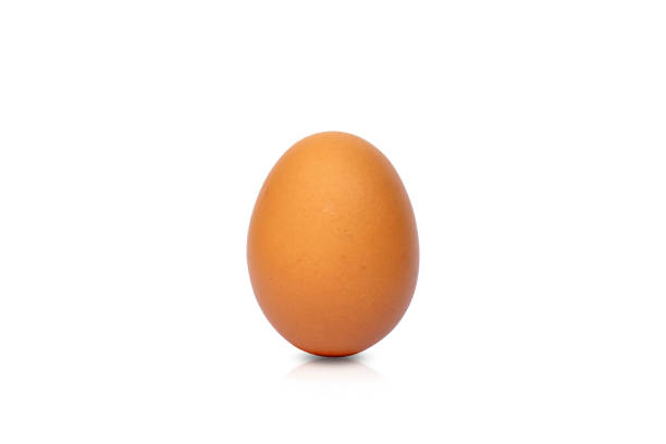 istock Egg chicken is a highly nutritious food separate on a white background with the clipping path. 1264373541