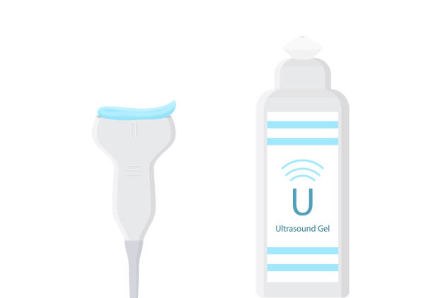Ultrasound gel and linear transducer isolated on white Ultrasound gel and linear transducer isolated on white vector illustration male reproductive system cross section stock illustrations