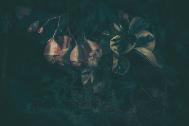 istock Green leaves pattern; Nature background; vintage style 1264379062