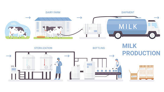 Milk bottle production process vector illustration. Cartoon flat infographic poster with processing line in automated dairy factory, making pasteurization and bottling milk product isolated on white