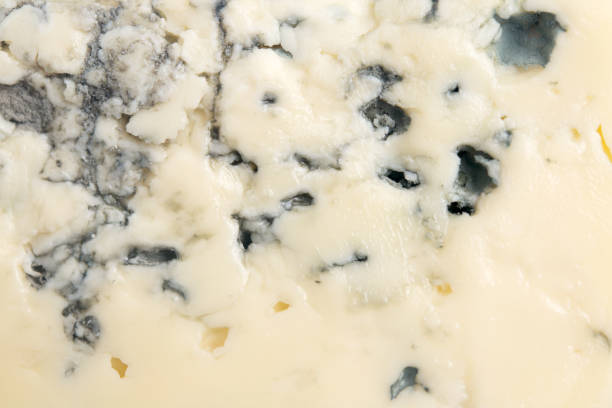 kuvapankkikuvat ja rojaltivapaat kuvat aiheesta sinihomejuusto - blue cheese