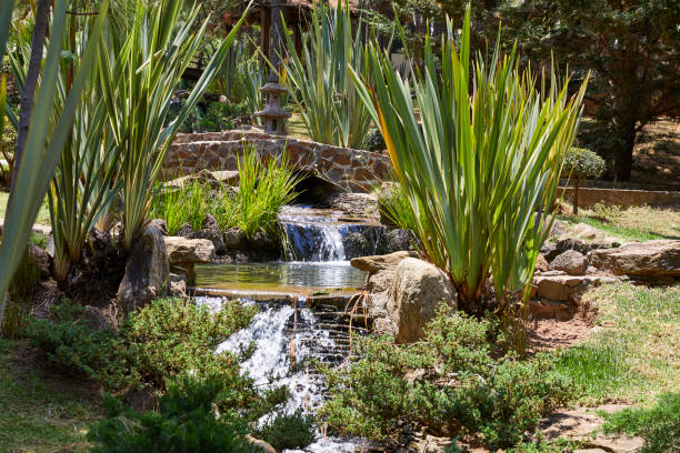istock beautiful japanese garden 1264392600