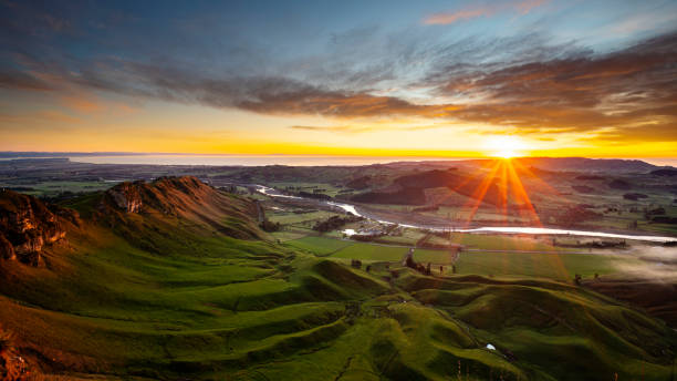 утренний вид с пика те мата, залив хоука, новая зеландия - new zealand forest landscape mountain стоковые фото и изображения