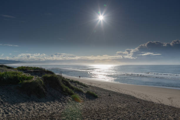 istock Winter days at the beach 1264398516