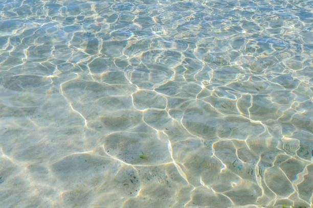 istock Bay Water Texture with Sand in the bottom 1264399134