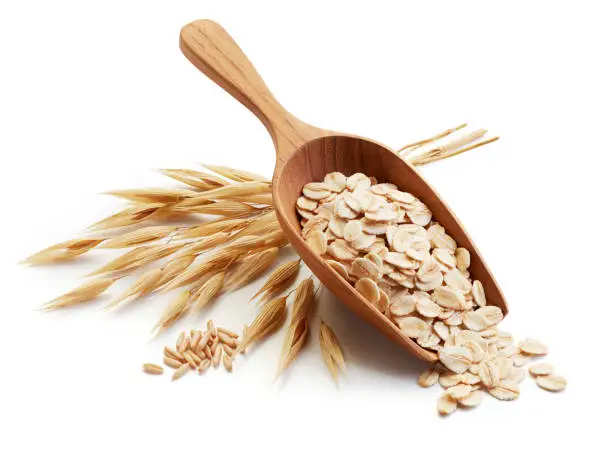 scoop of oatmeal with oat straw and its unprocessed grains