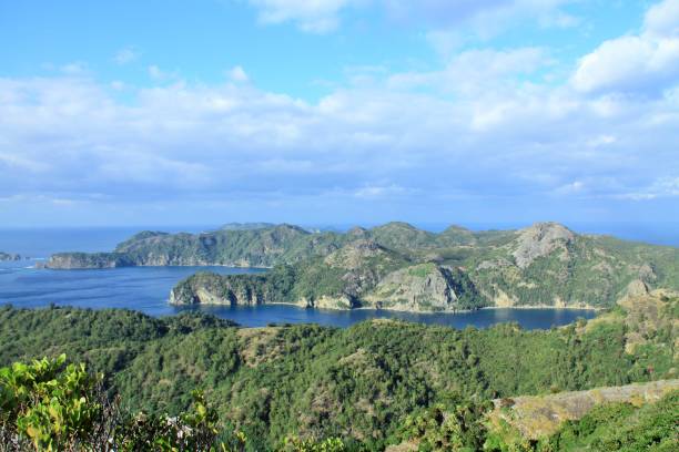 istock Panoramic View of Ogasawara Islands Landscape 1264399974