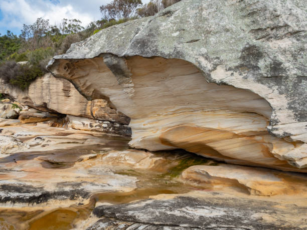 istock Sandstone Walls in Kurnell 1264403011
