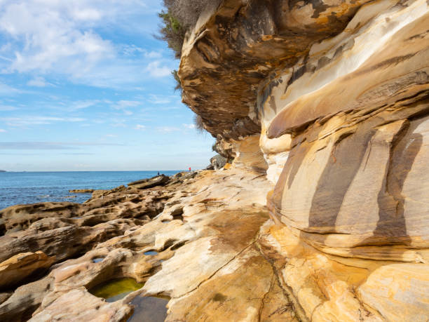 istock Sandstone Walls and Rocks in Kurnell 1264405753