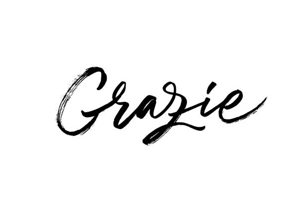 Grazie ink brush vector lettering. Thank you in Italian. Modern phrase handwritten vector calligraphy. Grazie ink brush vector lettering. Thank you in Italian. Modern phrase handwritten vector calligraphy. Black paint lettering isolated on white background. Postcard, greeting card, t shirt print. italian language stock illustrations