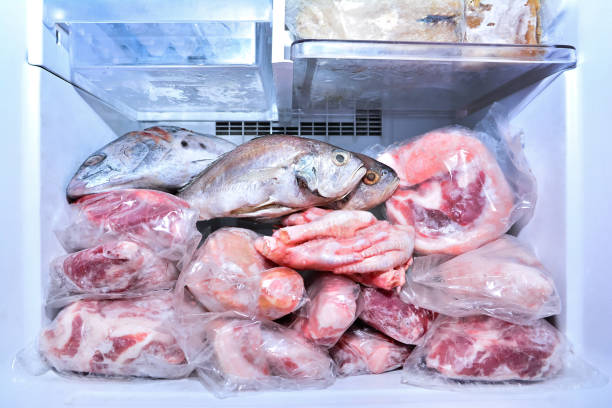 carne en frigorífico de fondo congelador. pescado de primer plano, pescado, carne y pata de pollo en compartimento de congelación - compartimento para almacenamiento fotografías e imágenes de stock