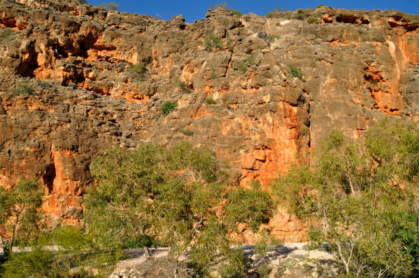 istock Mandu Gorge sandstone cliff face and river gums 1264412808