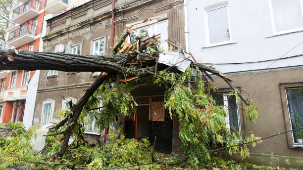 ハリケーンクリスティ。大雨と強風 - 風の力の突風が事故を引き起こしました - 嵐の間に古い木が車に落ち、家を破壊しました。強い嵐と雨 - hurricane storm wind disaster ストックフォトと画像