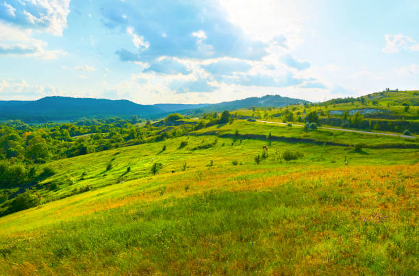 Beautiful field on a background of mountains and blue sky with clouds.