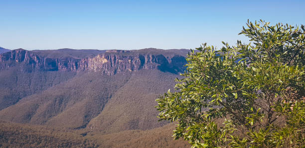 панорамный вид на голубые горы дикой природы национальный парк - famous place blue mountain range sky стоковые фото и изображения