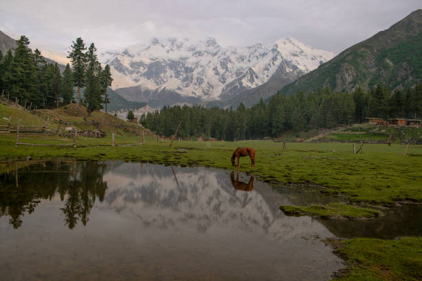 istock mountains and peaks in Pakistan 1264416075