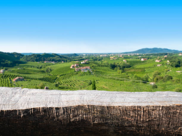 istock Wood table in summer vineyard country landscape 1264416190
