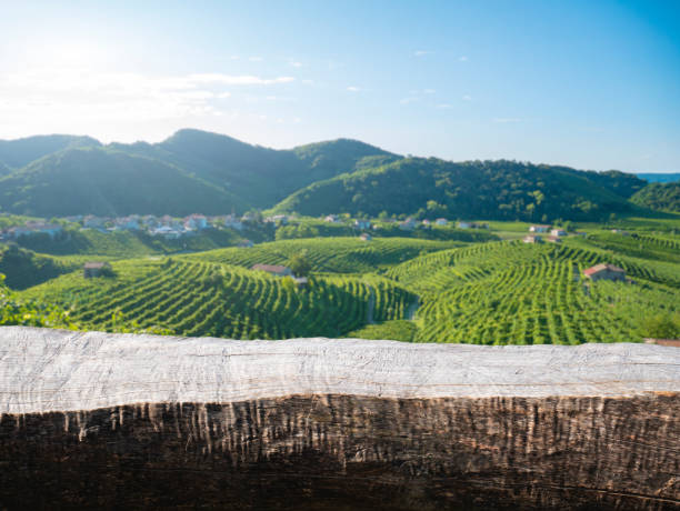 Wood table in summer vineyard country landscape