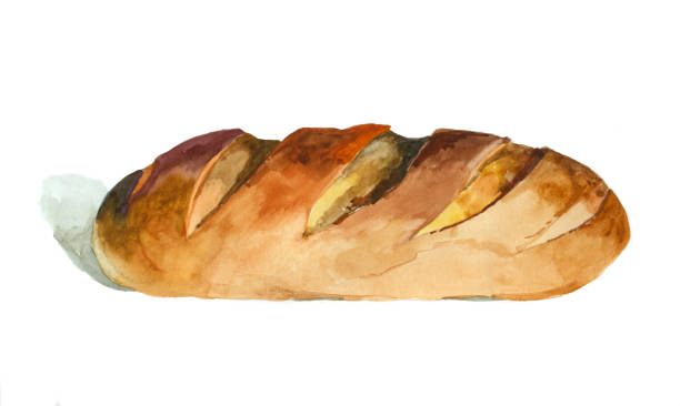 ilustrações, clipart, desenhos animados e ícones de pão de aquarela isolado na ilustração branca. - bread white background isolated loaf of bread