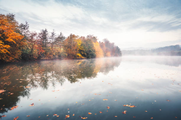 istock Autumn By The Lake 1264424202