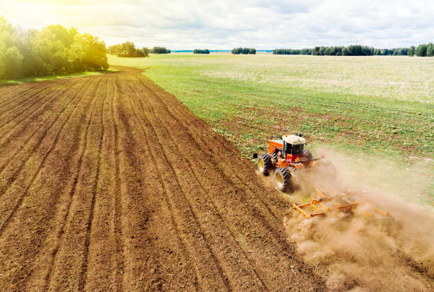istock Agriculture machine harvesting crop in fields. Tractor pulls a mechanism for haymaking. Harvesting in autumn in morning at dawn. agribusiness in the Altai region Russia. aerial view from above 1264425442
