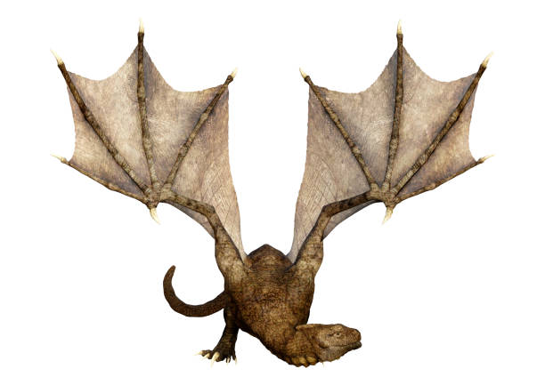 istock 3D illustration fantasy dragon on white 1264428389