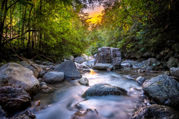 Stream with rocks and air bubbles underwater