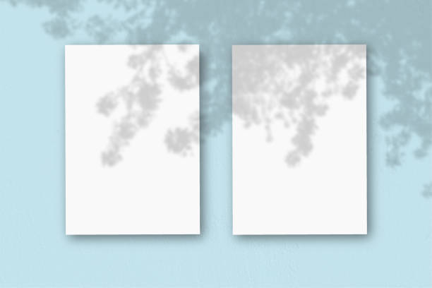 istock 2 vertical sheets of textured white paper on soft blue table background. Mockup overlay with the plant shadows. Natural light casts shadows from an exotic plant. Horizontal orientation 1264434239