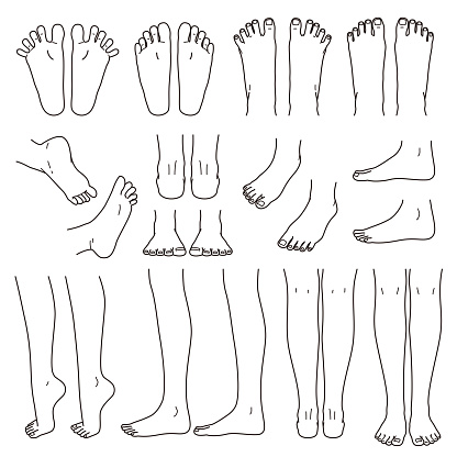 foot and leg, knee and toe, outline, vector file set