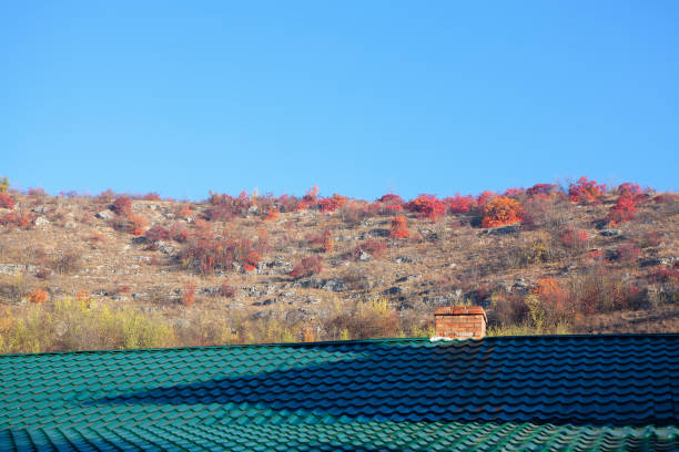 Autumnal scene ,Tiled roof with chimney