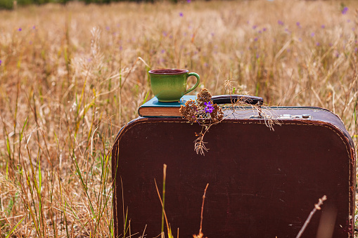 Brown vintage suitcase with old book, dried wild purple flowers and cup of tea on grass background. Atmospheric retro autumnal still life. Morning breakfast outdoor wallpaper, stylish post card.