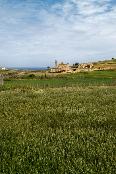 istock Fields and Ta Pinu Sanctuary in Gozo-Malta 1264441839