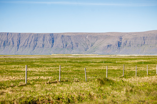 Meadow and mountain range in a remote part of Iceland