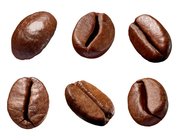 istock coffee bean brown roasted caffeine espresso seed 1264444044