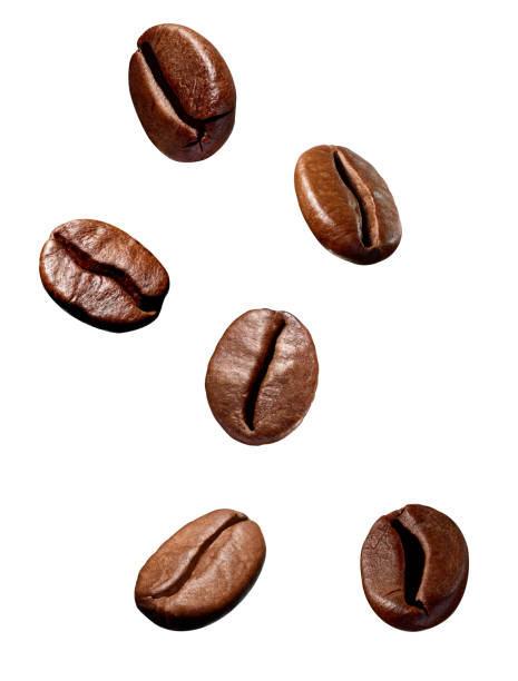 istock coffee bean brown roasted caffeine espresso seed 1264444287