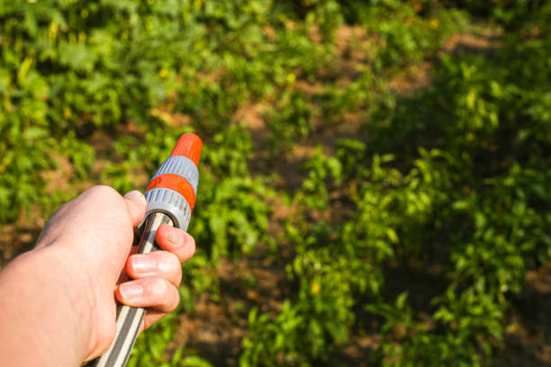 istock garden irrigation hose and agriculture 1264447283