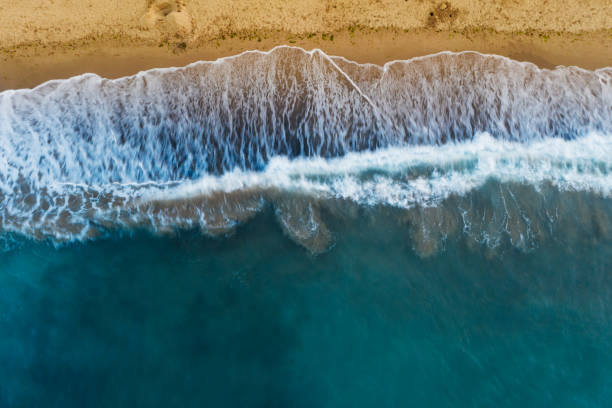istock High Angle View Of The Seaside and Beach , Beautiful View 1264448984