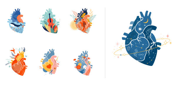 ilustraciones, imágenes clip art, dibujos animados e iconos de stock de colección de diseño de impresión moderna corazón anatómico, obra de arte - amor ilustraciones